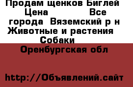 Продам щенков Биглей › Цена ­ 15 000 - Все города, Вяземский р-н Животные и растения » Собаки   . Оренбургская обл.